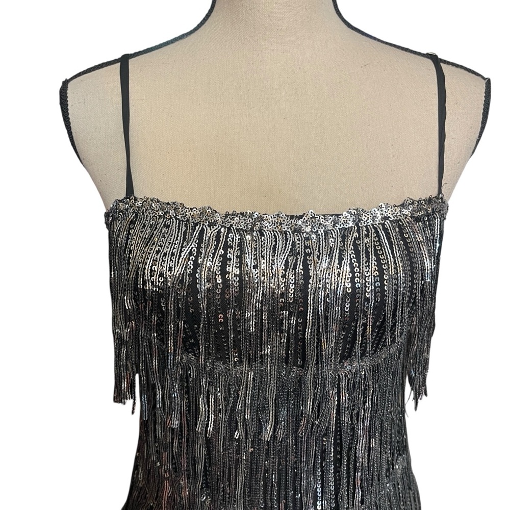 Day + Moon‎ Silver Sequin Layer Fringe Flapper Costume Party Dress Women's Small - Picture 7 of 15